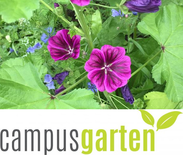 Campusgarten Wildblumen Logo